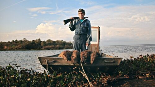 Louisiana fisherman with nutria rodents