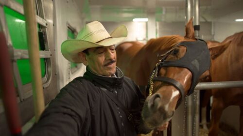 Horse and groom traveling - Adalberto Espinosa, Rebecca Richart