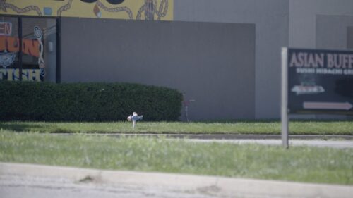 Pulled Over: The Hannah Fizer Case crime scene
