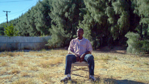 Man sitting in chair in front of wall of trees