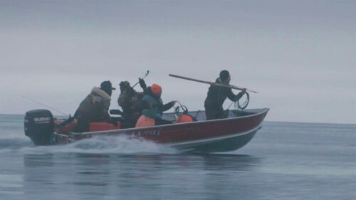 Group of people on a boat holding a harpoon. Action shot.